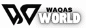 Waqas World