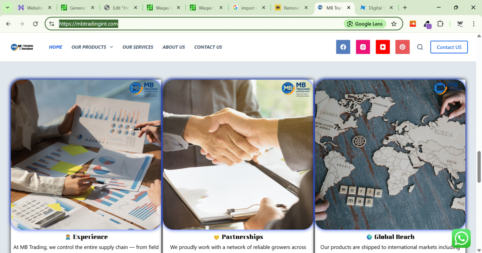 An elegant corporate website for an international fruits & vegetable exporter with SEO-optimized product pages.